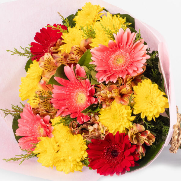 Pleasant Gerberas