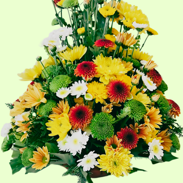 Chrysanthemum Medley - Image 2
