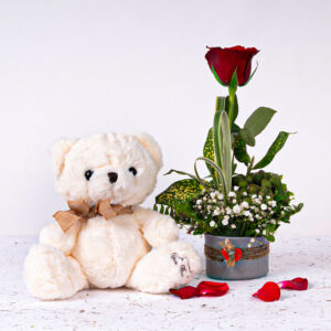 01 Red Rose in a Heart Vase + Teddy Bear