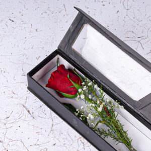 Single Red Rose in a Box