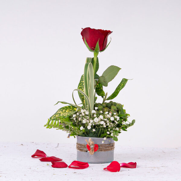01 Red Rose in a Heart Vase