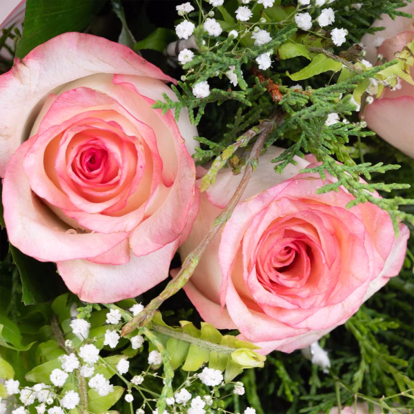 6 Pink Roses and Baby's Breath  - Image 4