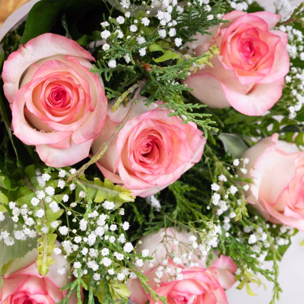 6 Pink Roses and Baby's Breath  - Image 2