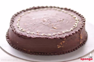 Fudge & Nut